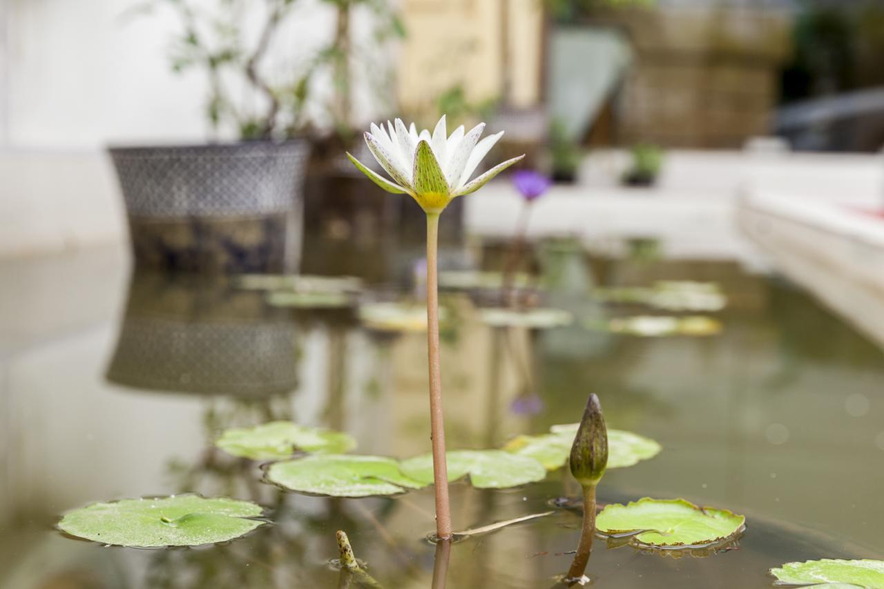Central Boutique Hotel Vientiane Eksteriør bilde
